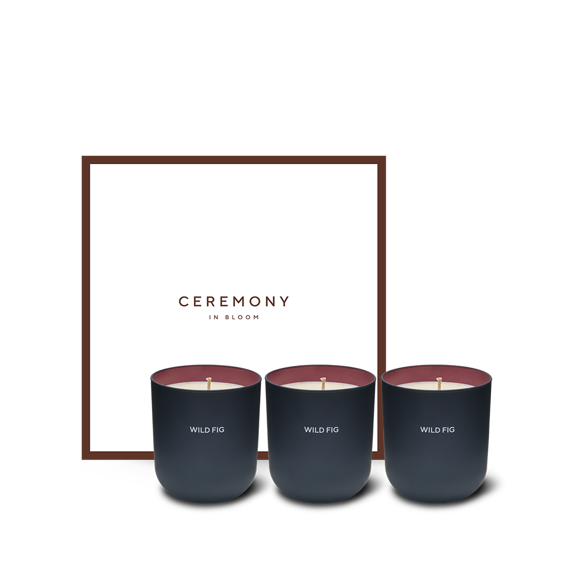 Wild Fig Scented Candle Trio Set