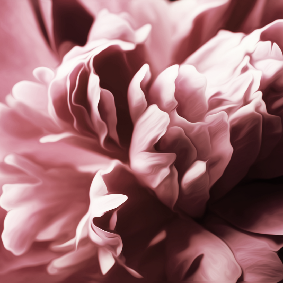 Simply Peony: Az Önce Açmış Bir Bahar Buketi