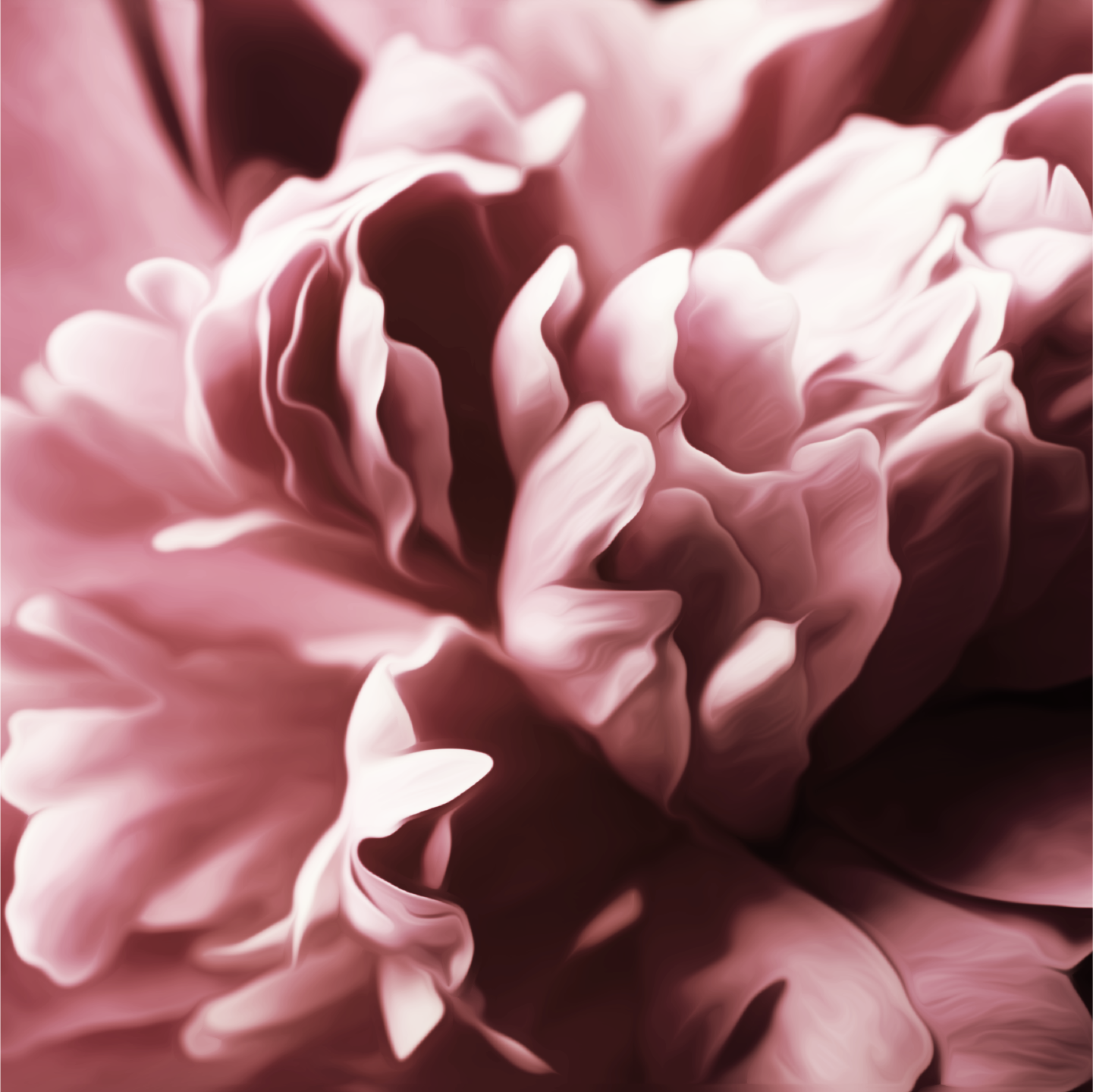 Simply Peony: Az Önce Açmış Bir Bahar Buketi