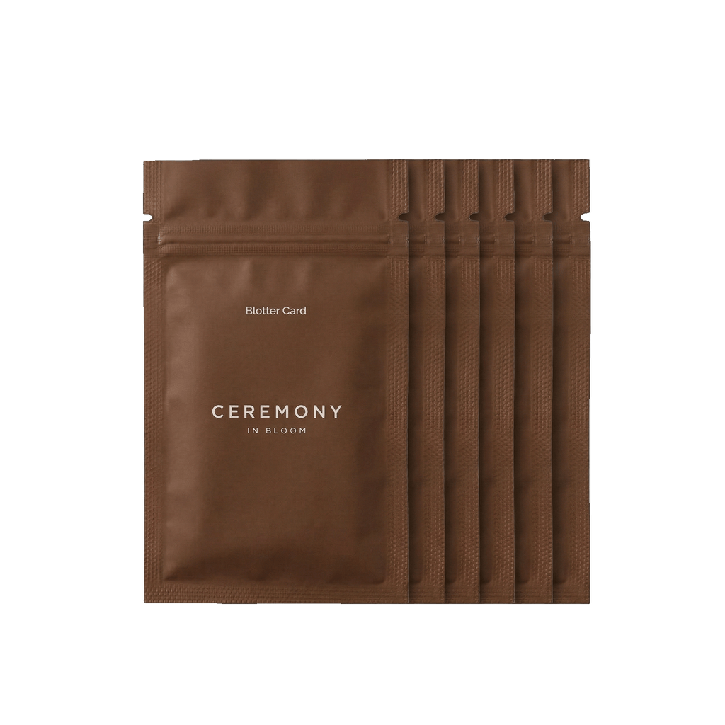 The Scent Edit — Blotter Cards