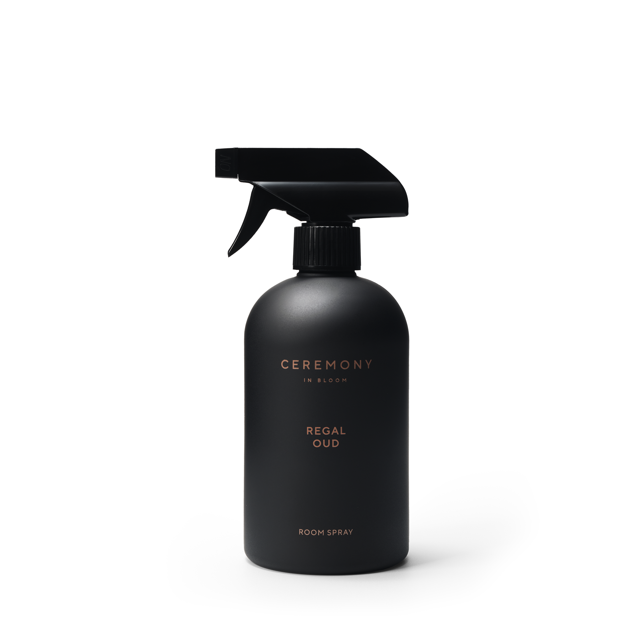 Regal Oud Oda Spreyi 500mL