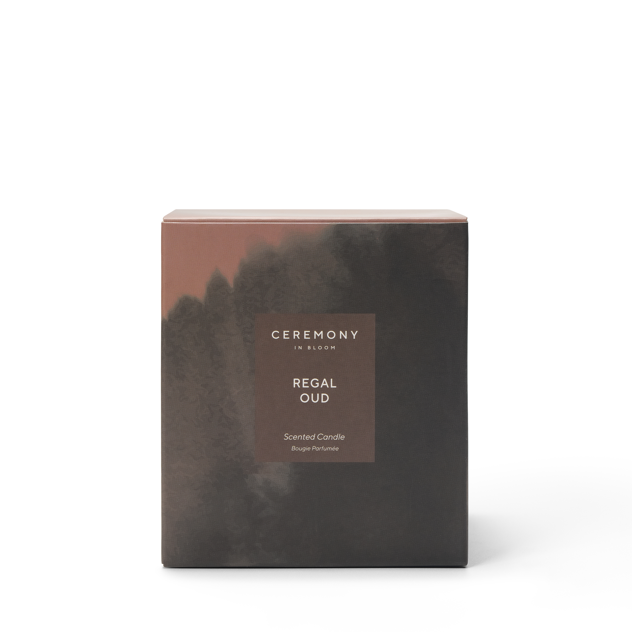 Regal Oud Kokulu Mum 300g